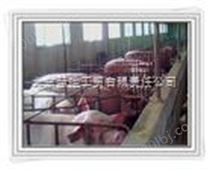 天津玻璃钢电热板走向全国】天津仔猪玻璃钢电热板季