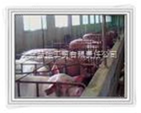 天津玻璃钢电热板走向全国】天津仔猪玻璃钢电热板季