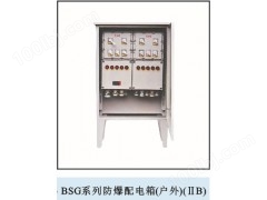 BSG系列防爆配电箱（户外）（IIB）
