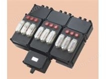 BXM（D）8050系列防爆防腐照明（动力）配电箱