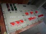 BXX51-T12/32K/100A防爆动力检修箱*
