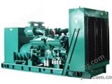 无动帕欧系列柴油发电机组厂价直销质量可靠